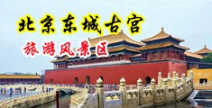女人的骚逼喷水视频中国北京-东城古宫旅游风景区
